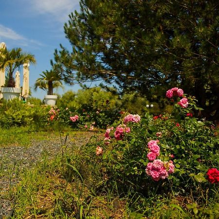 New Egreta Resort Dunavăţu de Jos Bagian luar foto
